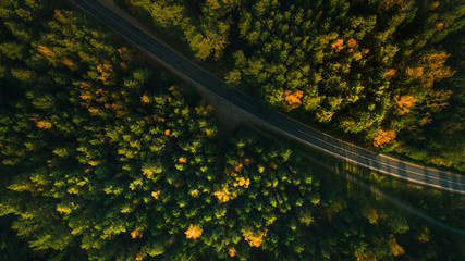Mountain road and autumn trees above the forest. Yellow, red and green nature, high top view....