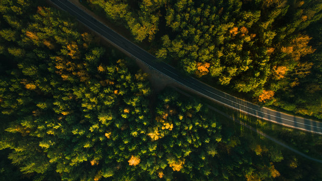 Mountain road and autumn trees above the forest. Yellow, red and green nature, high top view. Aerial drone shoot with wonderful texture.