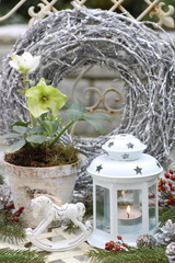 Weihnachtsdekoration in Weiß mit Laterne und Christrose