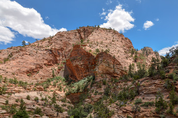 sandstone mesa on the Canyon Overlook trail in Zion National Park