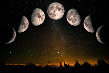 Fototapeta premium Fazy Księżyca: przybywający półksiężyc, pierwsza kwadra, przybywający księżyc w pełni, ubywający księżyc w pełni, trzeci kwartał, ubywający półksiężyc. Krajobraz lasu z gwiazdami. Elementy tego obrazu dostarczone przez NASA
