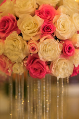 colourful rose flower