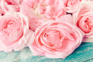 pink roses on wooden background, valentines day