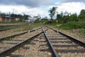 railway in the forest