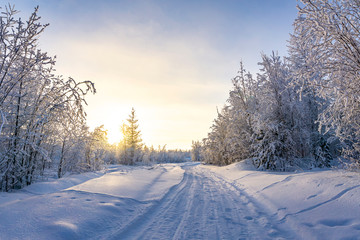 Fototapeta na wymiar Beautiful winter landscape. Fabulous snow-covered forest.