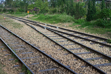 Fototapeta premium railway in the forest