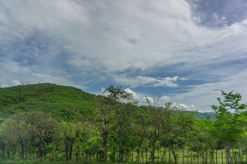 Karibische Landschaft