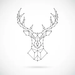  Polygonal Deer silhouette. Image of Deer in the form of constellation. Vector geometric illustration. © greens87