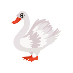 Beautiful swan bird vector Illustration on a white background