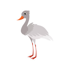 Fototapeta premium Beautiful white stork bird vector Illustration on a white background