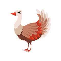 Beautiful bird vector Illustration on a white background