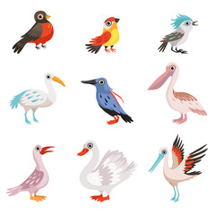 Obraz na płótnie Canvas Collection of beautiful birds, crane, stork, swan, kingfisher, pelican, robin, finch, blue jay birds vector Illustration