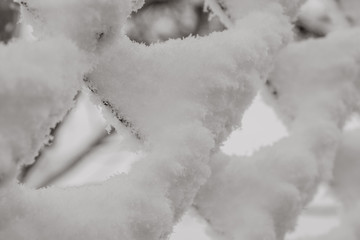 chain-link in the snow, part of the fence
