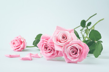 Pink roses on a light pastel background.