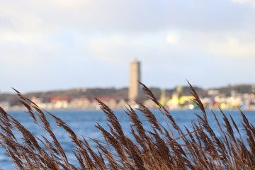 Dutch island with lighthouse