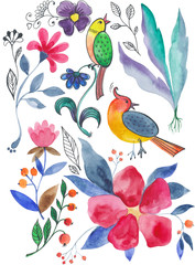 Botanical collection, watercolor set of flowers, plants and birds