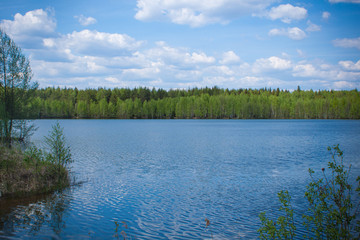 Summer day at a forest lake