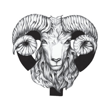 Hand drawn horoscope symbol of Aries illustration