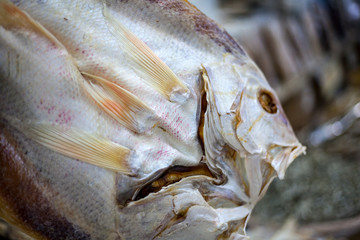 seafood, dried fish in the store