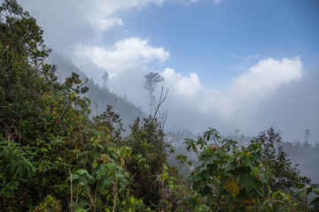 Karibische Landschaft