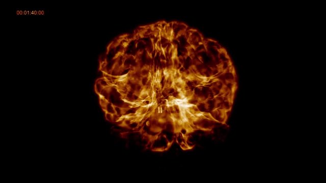 4K Inside the Brain of blood cells to Neuron system