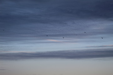 sunset sky 