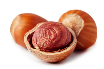 Fresh ripe organic hazelnuts (filbert) isolated on white background