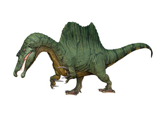 Fototapeta premium 3D Rendering Dinosaur Spinosaurus on White