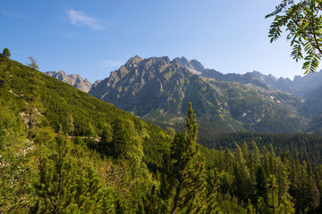 Fototapeta na wymiar Summer morning in High Tatras