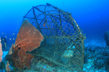 Fish trap (net or cage) damaging coral reef in Thailand   