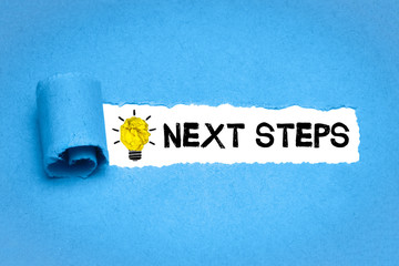 Next Steps