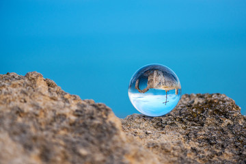 Fototapeta na wymiar Upside down seascape with the chapel of St. Nicholas at Cape Kaliakra - reflection in a lens ball - selective focus, space for text