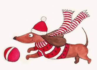 Dachshund playing ball