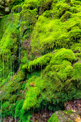 Moss Falls in Mugeonli, Samcheok