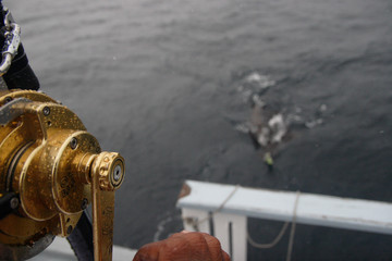 Pesca altura