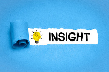 Insight 