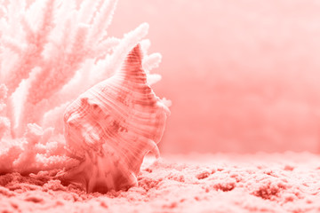 Fototapeta premium Living Coral color of the Year 2019. Trendy color.