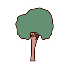 tall tree isolated icon