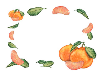 Watercolor hand drawn mandarin fruits, slices and leaves. Colorful sweet fresh tangerine set for invitation, greeting cards, design. Botanical illustration of exotic fruits.
