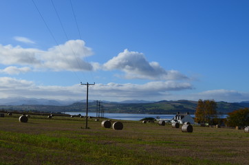 haystacks