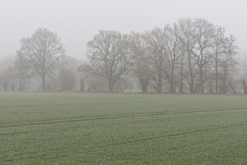 trübes Wetter am Niederrhein