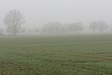 trübes Wetter am Niederrhein