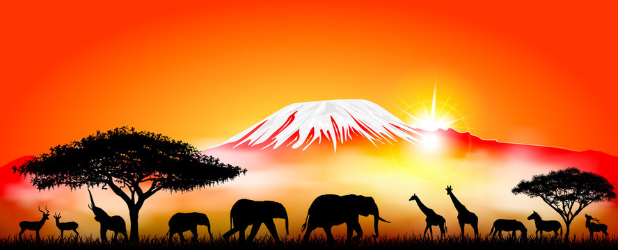 Savannah animals on the background of mount Kilimanjaro