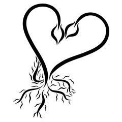 The heart of two young shoots with roots