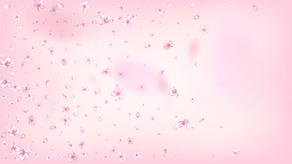 Nice Sakura Blossom Isolated Vector. Magic Falling 3d Petals Wedding Texture. Japanese Blooming Flowers Illustration. Valentine, Mother's Day Spring Nice Sakura Blossom Isolated on Rose