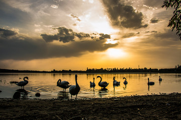 beautiful summer sunset on the South Moravian