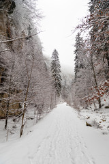Landscape with a road covered with snow through a canyon