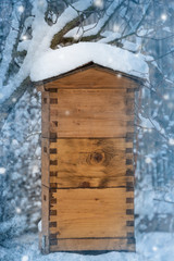 bee hive in winter - bee breeding (Apis mellifera) close up