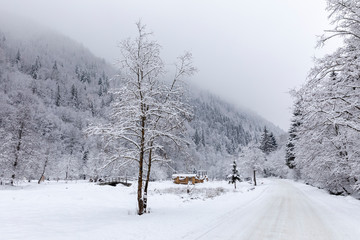 Fototapeta premium Snowy road during winter through forests and mountains