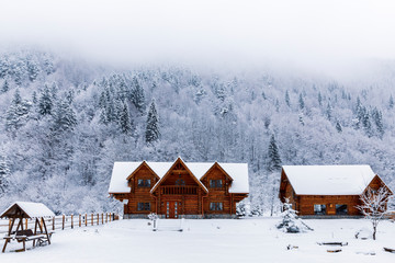 Wooden house in the mountains during winter